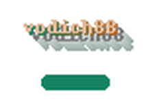 vodich88 logo